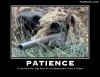 sniper.jpg