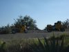DSC00712.JPG