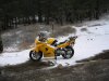 IMG_2898.jpg
