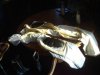 DSC03080.jpg