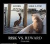 cat-watches-bird copy.jpg
