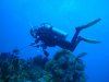 Diving Cozumel (13).jpg