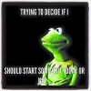 start some.jpg