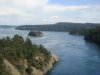 DSC03337.jpg