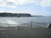 DSC03376.jpg
