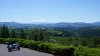 DSC05764.jpg