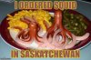 Saskatchewan-Squid.jpg