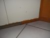 Kitchen Reno 4.jpg