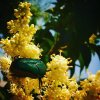 IMG_20160724_121901.jpg
