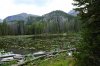 IMG_0601.jpg