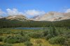 IMG_0809.jpg