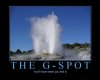 GSpot.jpg