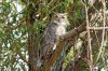 DSC_0039.jpg
