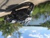 IMG_1998.jpg