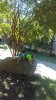 IMAG0177.jpg