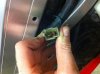 4 - Alternator stator electrical connector (male)photo 4.jpg