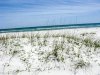 20160419-IMG_0835.jpg