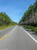 20160419-IMG_0856.jpg