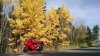 VFR with fall colors.jpg