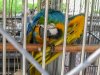 20160421-IMG_0917.jpg