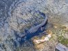 20160421-IMG_20160421_143317.jpg