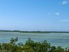 20160423-IMG_1006.jpg