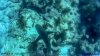 20160915-vlcsnap-2016-09-15-09h24m18s471.jpg