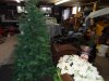 DSC02105.jpg