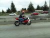 DSC02131.jpg