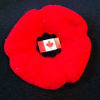 Canadian Poppy.png