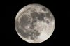 DSC_0017.jpg
