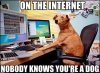 on-the-internet-nobody-knows-youre-a-dog-meme-1.jpg