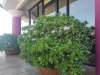 20161229_124445.jpg