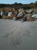 Sand Art.jpg