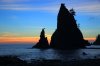 IMG_0467.jpg