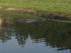 IMG_0826.jpg
