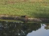 IMG_0841.jpg