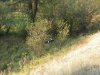 8. Scene, Bike in ditch.jpg