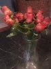 baconroses1000tall.jpg