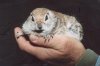 058_58 himonhand.JPG