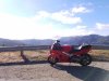 20170325_163146.jpg