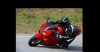 032617 5th Gen pic The Snake.jpg