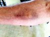 20170401_170555.jpg