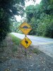 roadsign.jpg