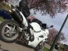 IMG_5434.jpg