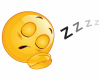 IMG_6524.PNG