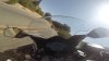 Screenshot_20170429-115852.jpg
