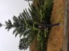 20170529_095447.jpg