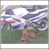 1993VFR500.jpg