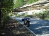 Fall Ride_2.jpg